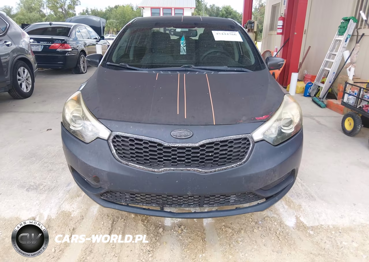 2015 Kia Forte Lx VIN:KNAFX4A68F5365454 - 12