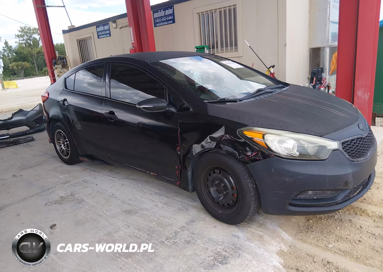 2015 Kia Forte Lx VIN:KNAFX4A68F5365454 - 13