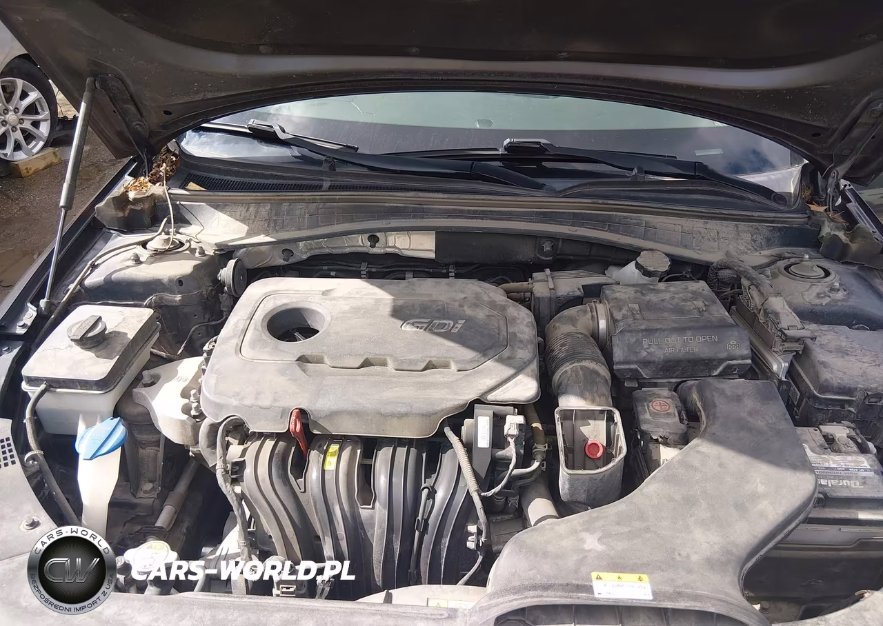 2017 Kia Optima Lx VIN:KNAGT4L36H5131724 - 10