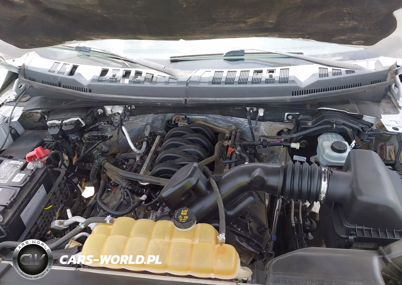 2015 Ford F-150 Xl VIN:1FTEW1EF3FFA54289 - 10