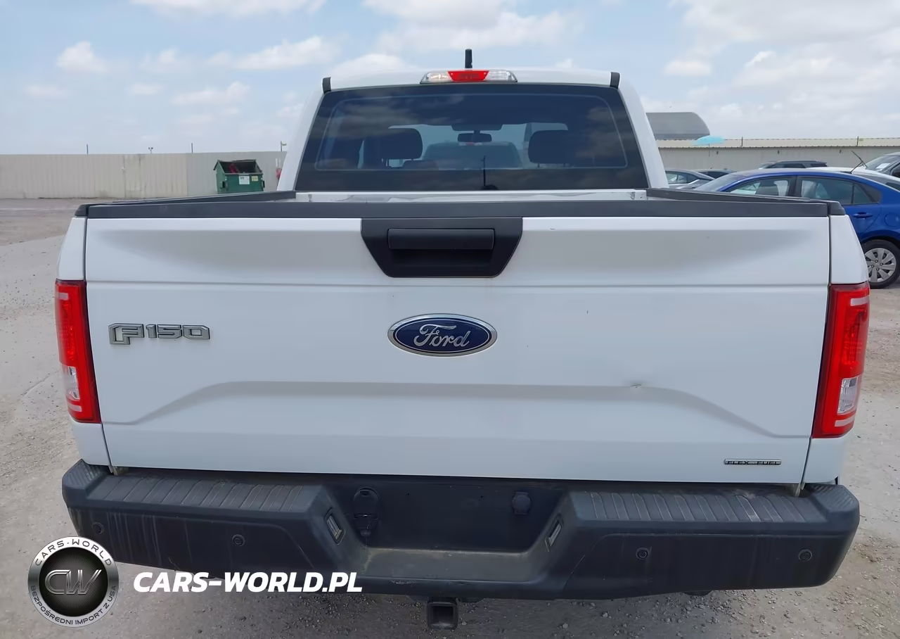 2015 Ford F-150 Xl VIN:1FTEW1EF3FFA54289 - 16