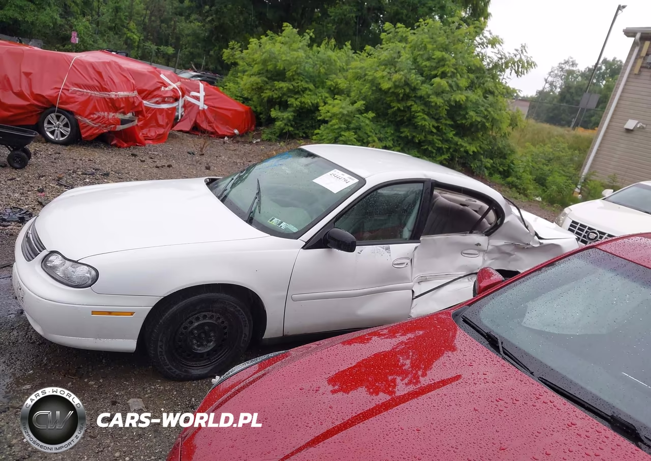 2005 Chevrolet Classic VIN:1G1ND52F05M164415 - 15