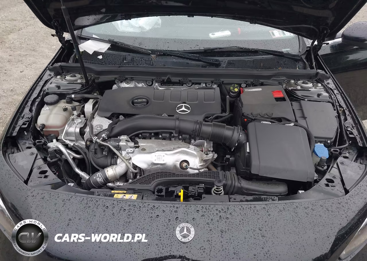2022 Mercedes-Benz A 220 4Matic VIN:W1K3G4FB6NJ335604 - 10