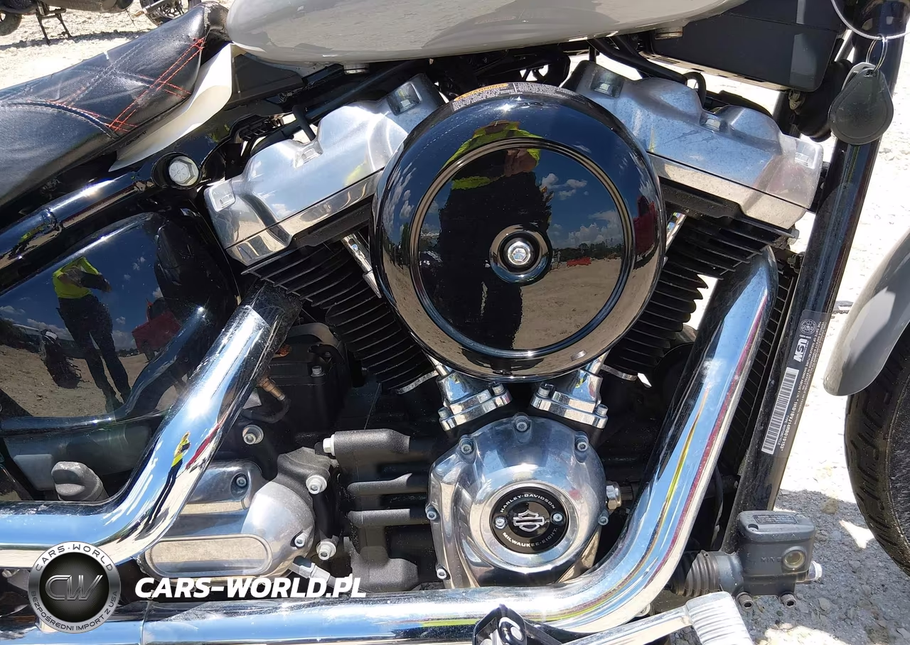 2024 Harley-Davidson Fxst VIN:1HD1BVJ14RB019153 - 8