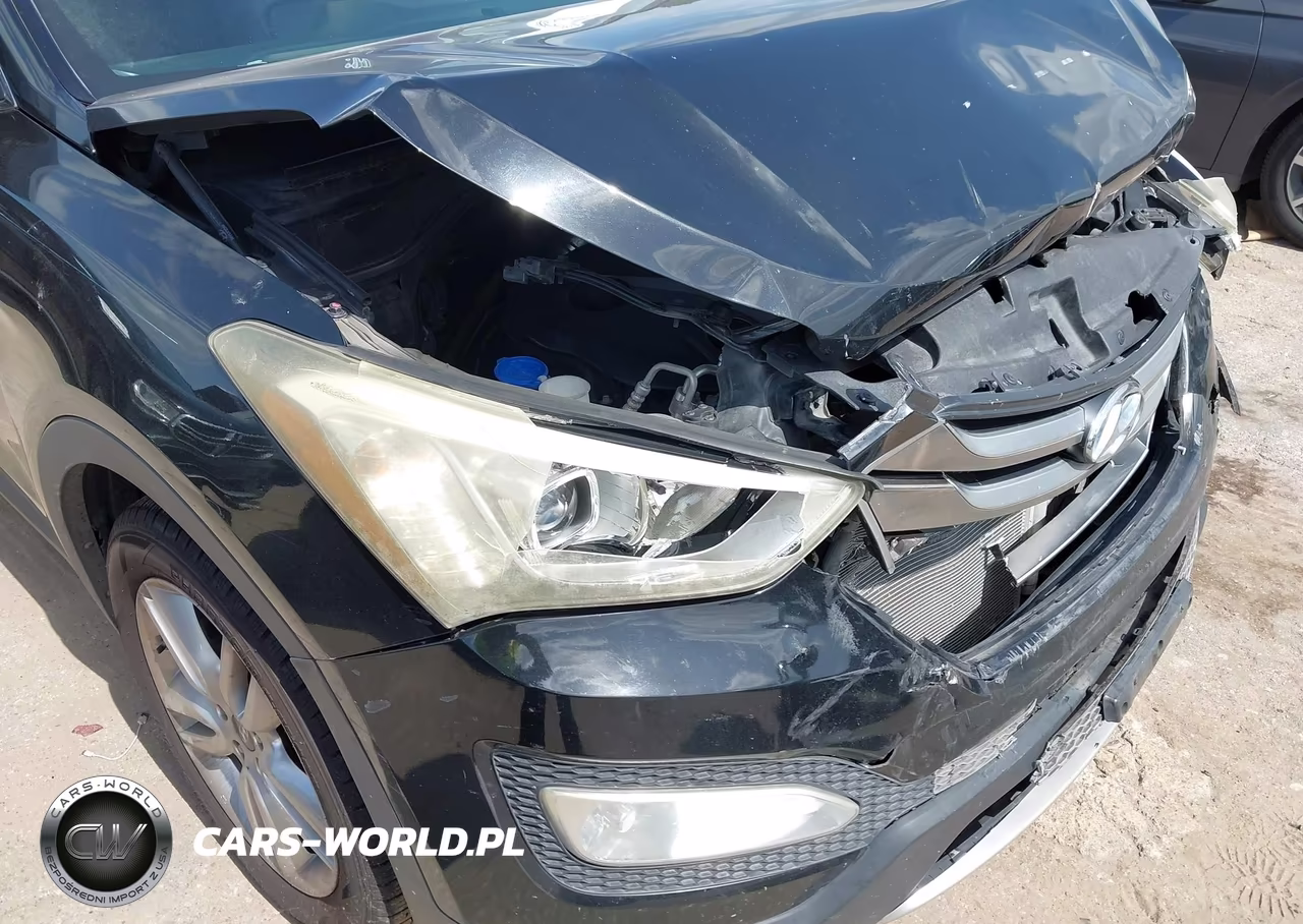 2016 Hyundai Santa Fe Sport 2.0L Turbo VIN:5XYZW4LAXGG309285 - 6