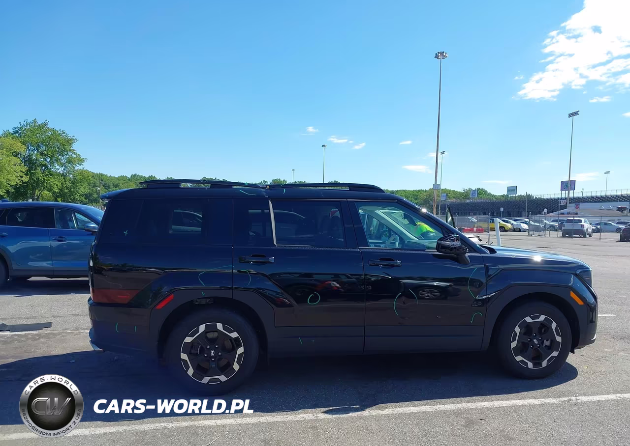2025 Hyundai Santa Fe Sel VIN:5NMP2DGL3SH147710 - 13