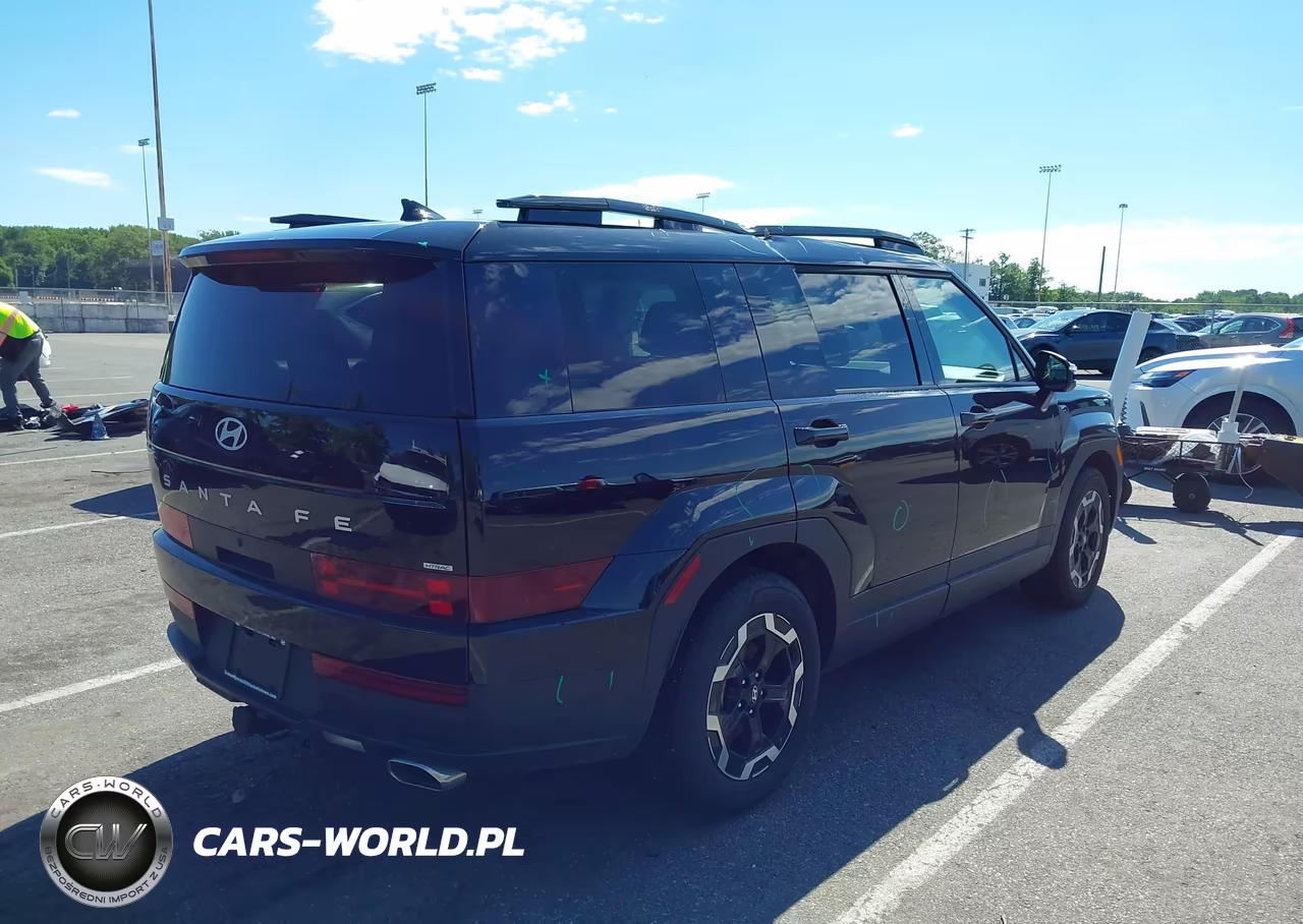 2025 Hyundai Santa Fe Sel VIN:5NMP2DGL3SH147710 - 4