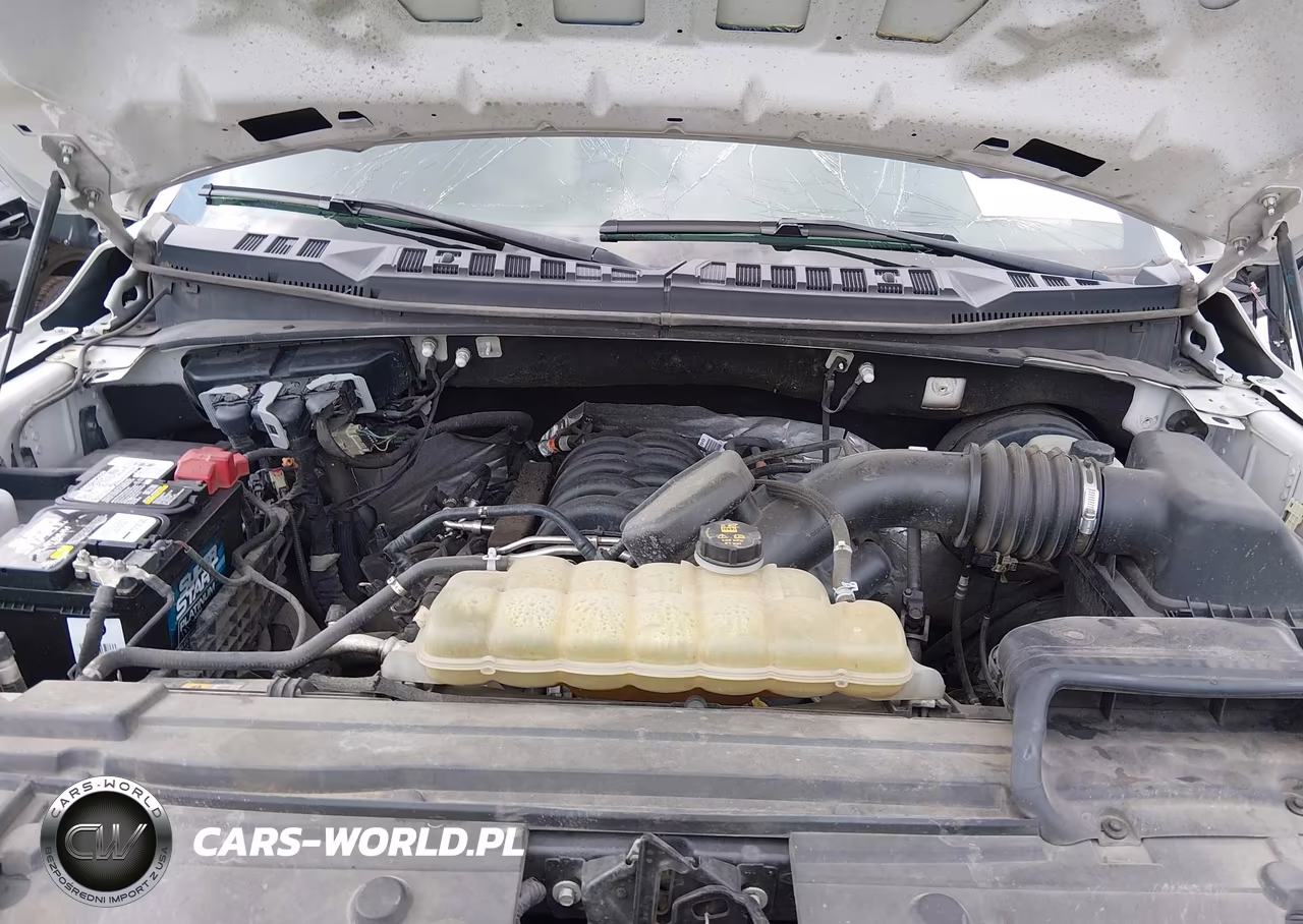 2019 Ford F-150 Xl VIN:1FTEW1C56KKE52852 - 10