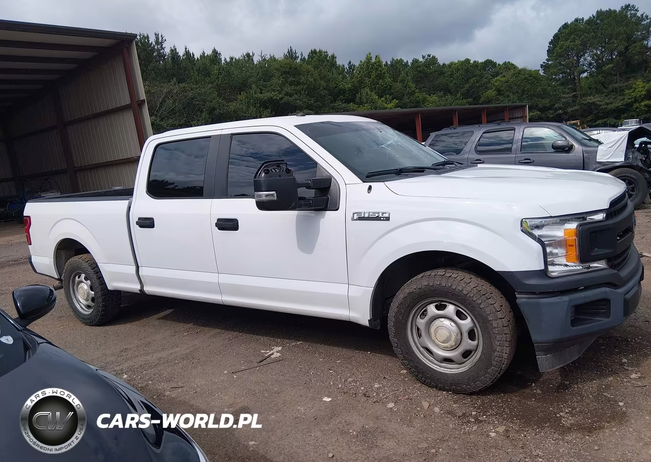 2019 Ford F-150 Xl VIN:1FTEW1C56KKE52852 - 13