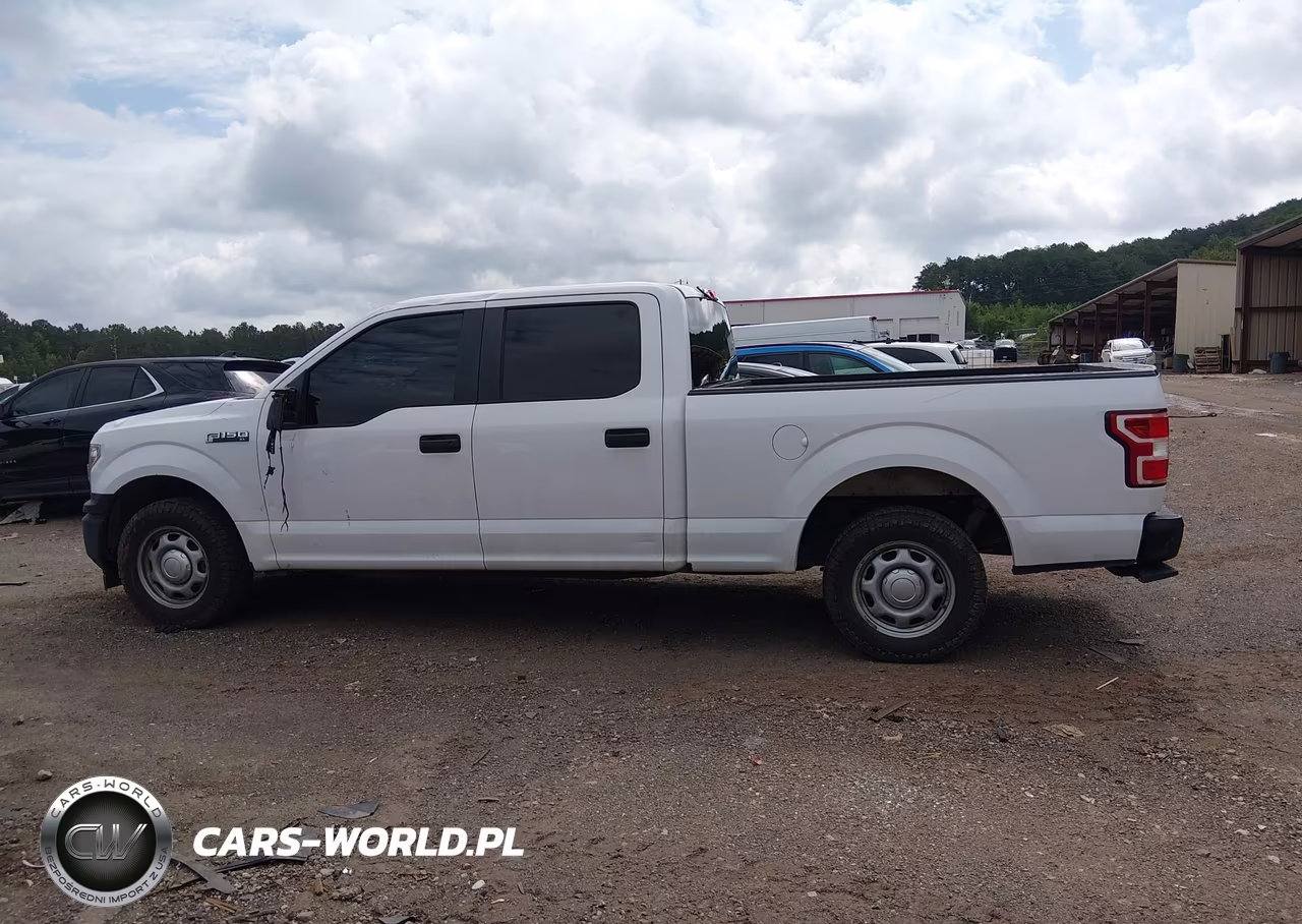 2019 Ford F-150 Xl VIN:1FTEW1C56KKE52852 - 14