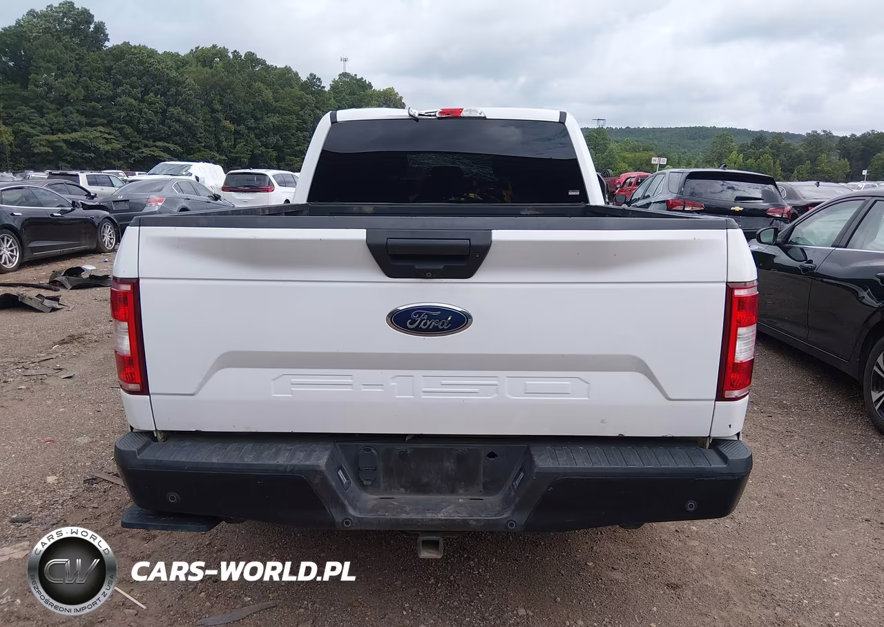2019 Ford F-150 Xl VIN:1FTEW1C56KKE52852 - 16