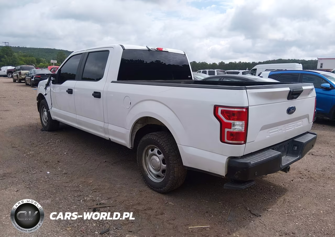 2019 Ford F-150 Xl VIN:1FTEW1C56KKE52852 - 3