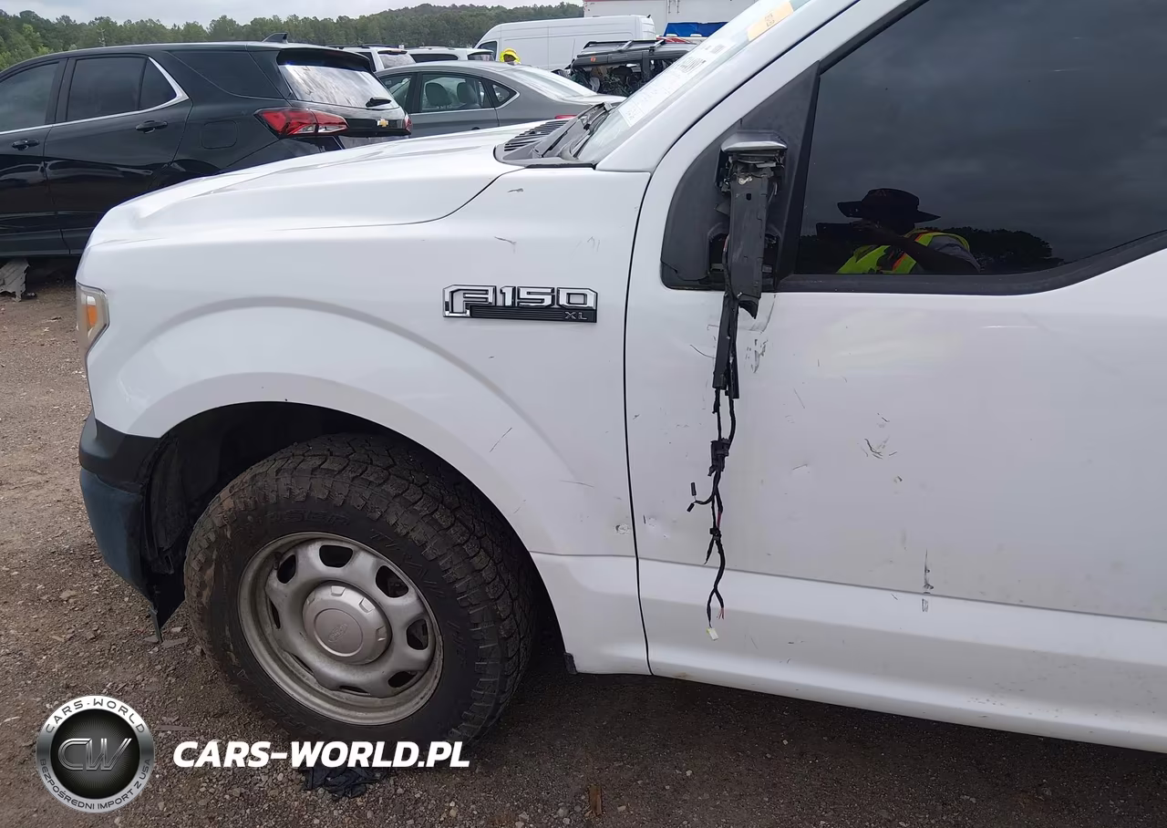 2019 Ford F-150 Xl VIN:1FTEW1C56KKE52852 - 6
