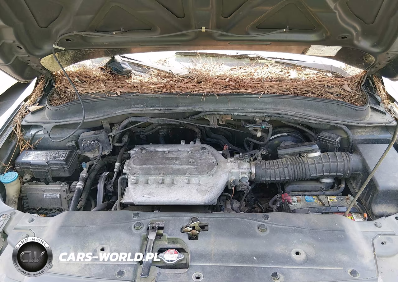 2005 Honda Pilot Ex-L VIN:5FNYF18605B016613 - 10