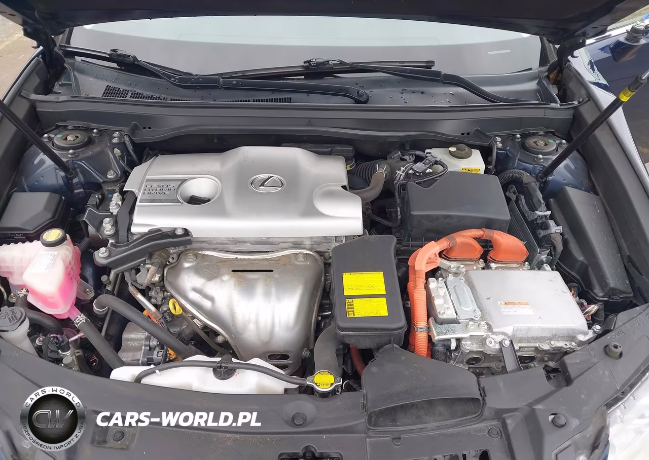 2013 Lexus Es 300H VIN:JTHBW1GG6D2032881 - 10