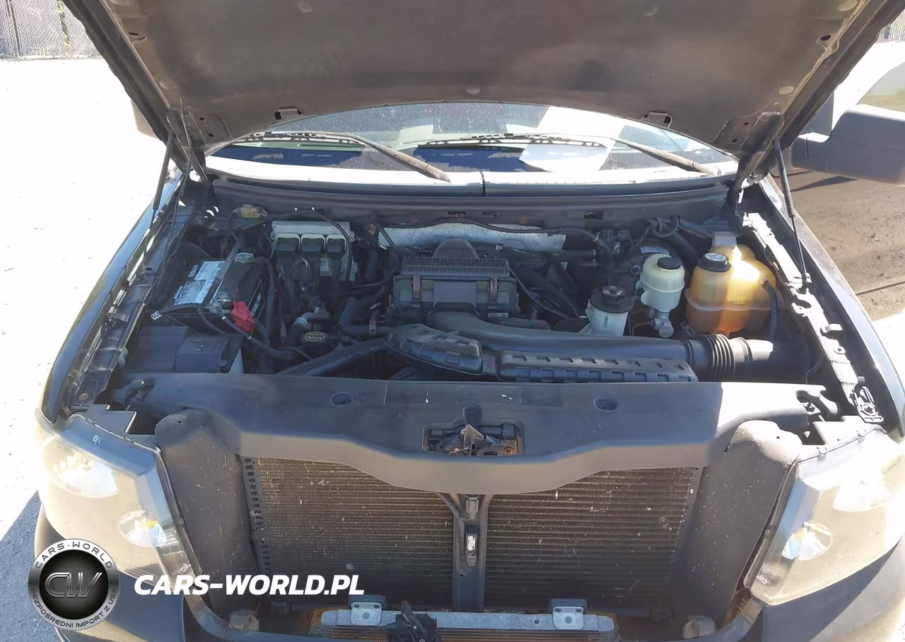 2006 Ford F-150 Fx4-Lariat-Xlt VIN:1FTPW14546FB47033 - 10