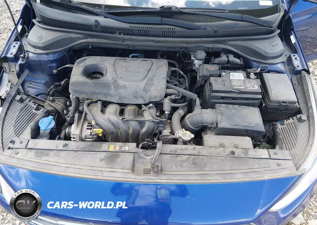 2019 Hyundai Accent Se VIN:3KPC24A36KE071267 - 10