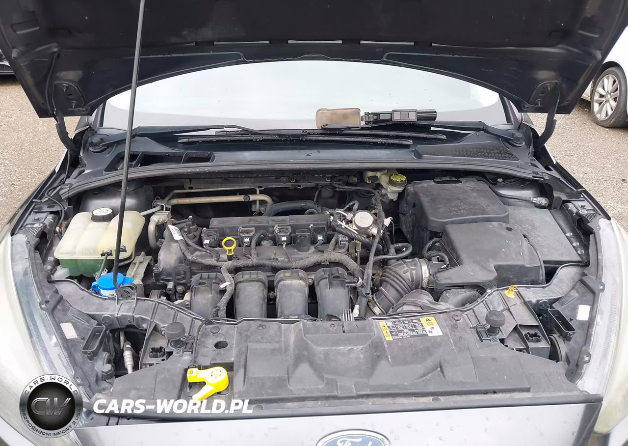 2016 Ford Focus Se VIN:1FADP3K28GL332909 - 10