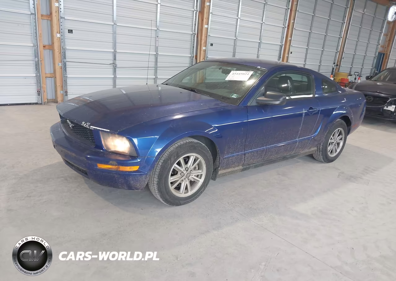 2005 Ford Mustang V6 Deluxe-V6 Premium VIN:1ZVFT80N055255847 - 2