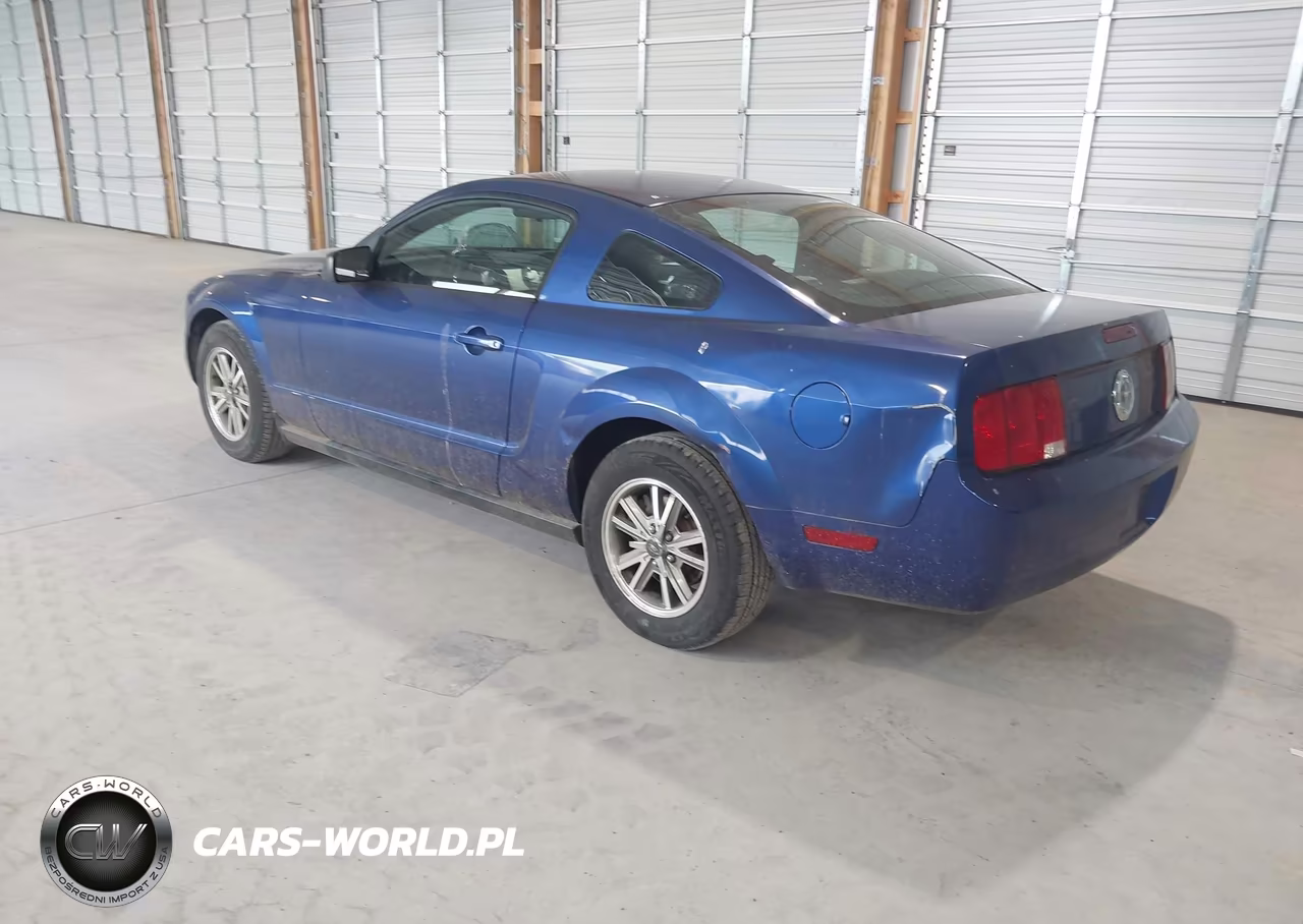 2005 Ford Mustang V6 Deluxe-V6 Premium VIN:1ZVFT80N055255847 - 3