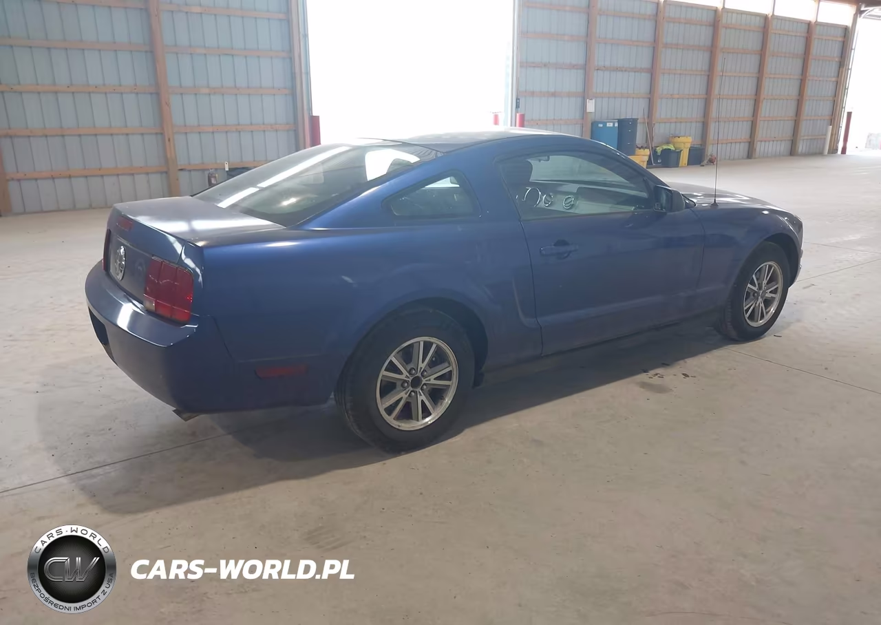 2005 Ford Mustang V6 Deluxe-V6 Premium VIN:1ZVFT80N055255847 - 4