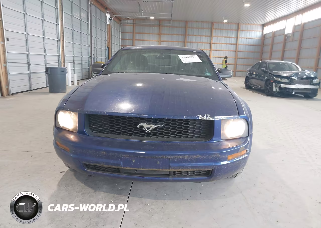 2005 Ford Mustang V6 Deluxe-V6 Premium VIN:1ZVFT80N055255847 - 6