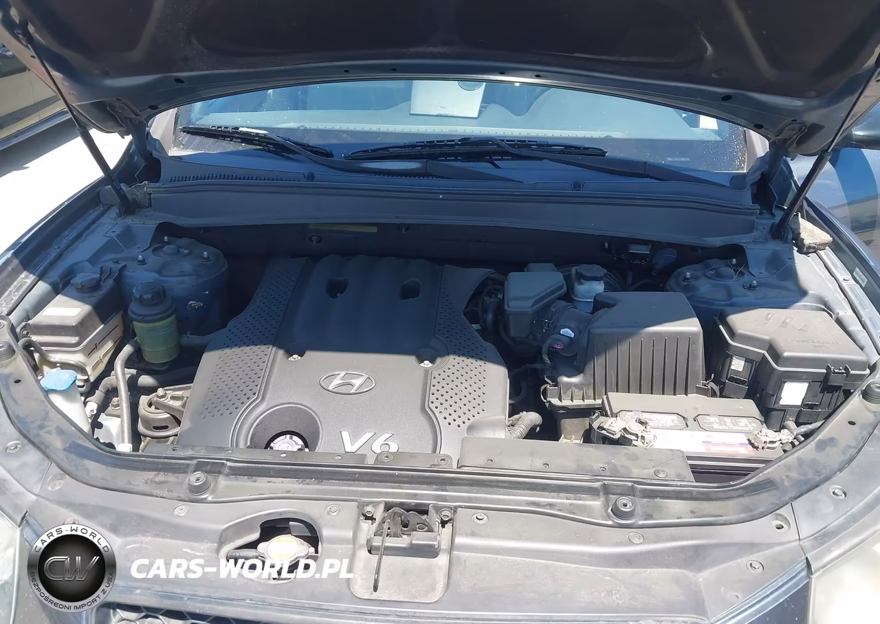 2008 Hyundai Santa Fe Gls VIN:5NMSG73D88H153345 - 10