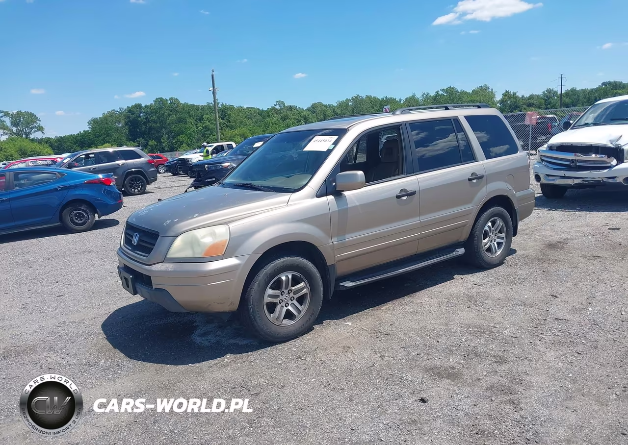 2005 Honda Pilot Ex-L VIN:5FNYF185X5B063784 - 2