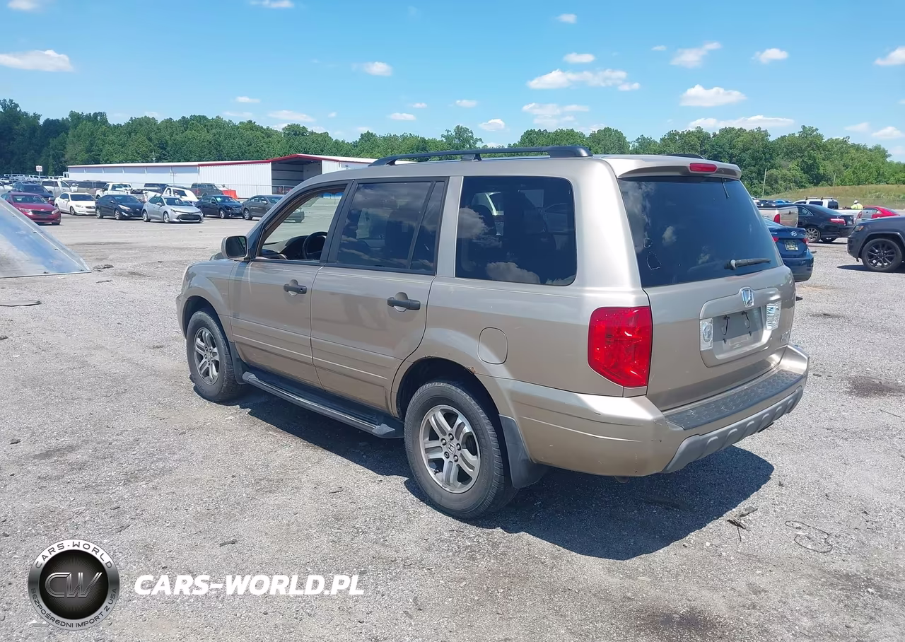 2005 Honda Pilot Ex-L VIN:5FNYF185X5B063784 - 3