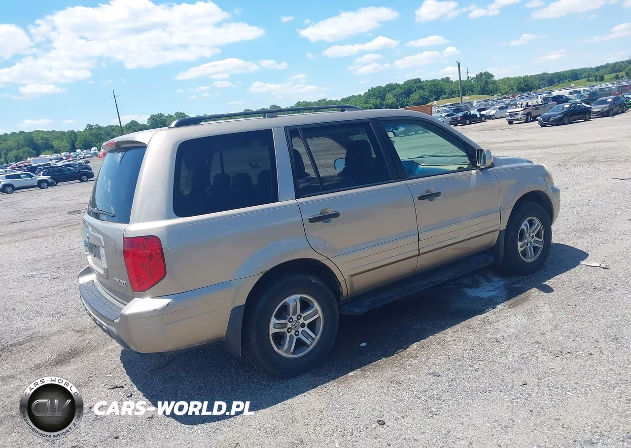 2005 Honda Pilot Ex-L VIN:5FNYF185X5B063784 - 4