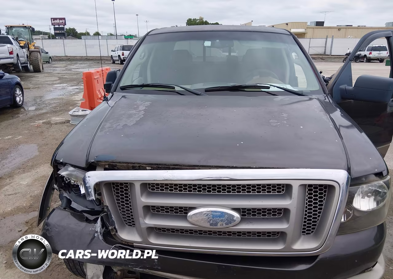 2006 Ford F-150 Fx4-Lariat-Xlt VIN:1FTPW14566KB23890 - 10