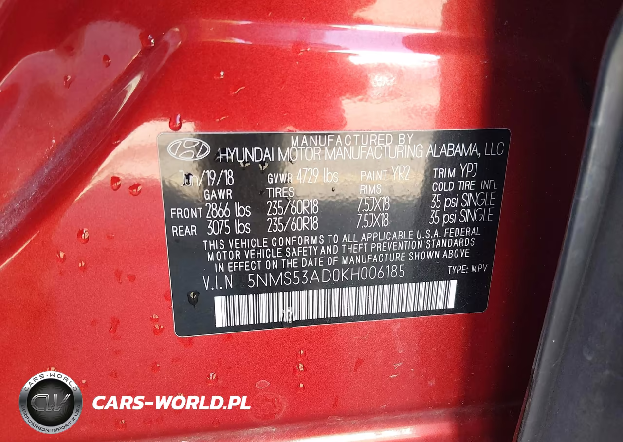 2019 Hyundai Santa Fe Ultimate VIN:5NMS53AD0KH006185 - 9