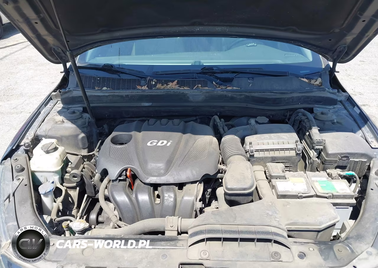 2015 Kia Optima Ex VIN:5XXGN4A72FG481766 - 10