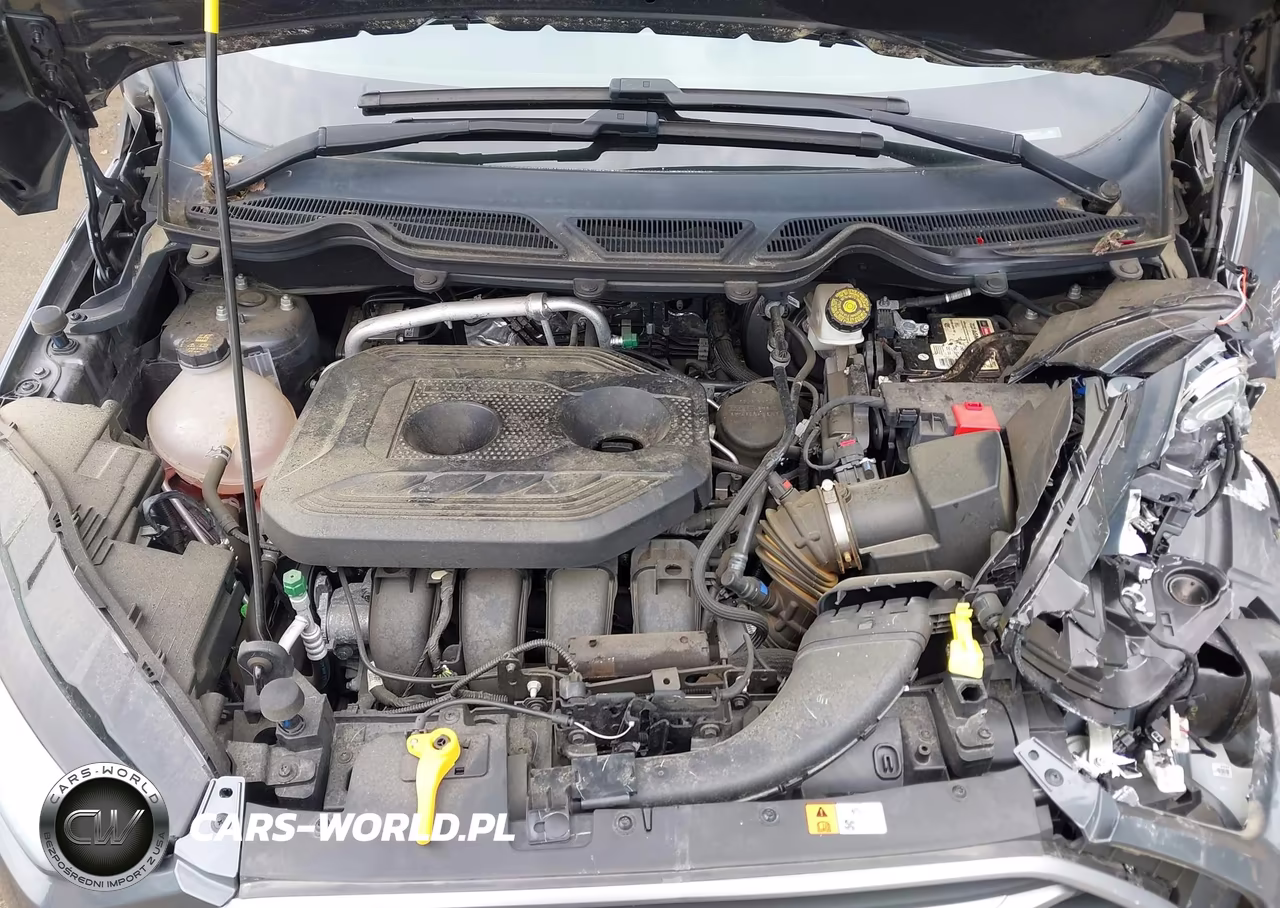 2019 Ford Ecosport Se VIN:MAJ6S3GL2KC284311 - 10