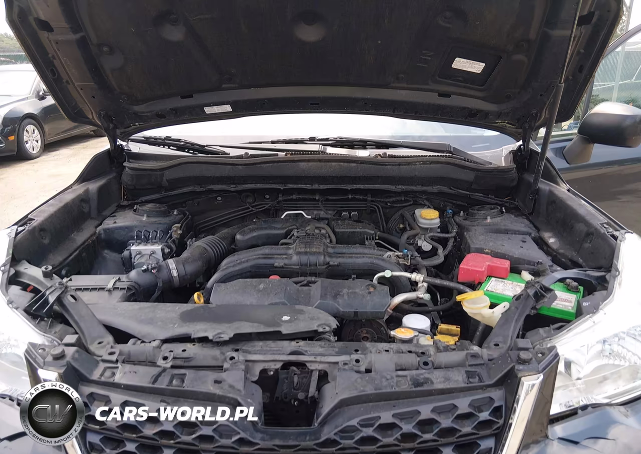 2015 Subaru Forester 2.5I VIN:JF2SJABC2FH826928 - 10