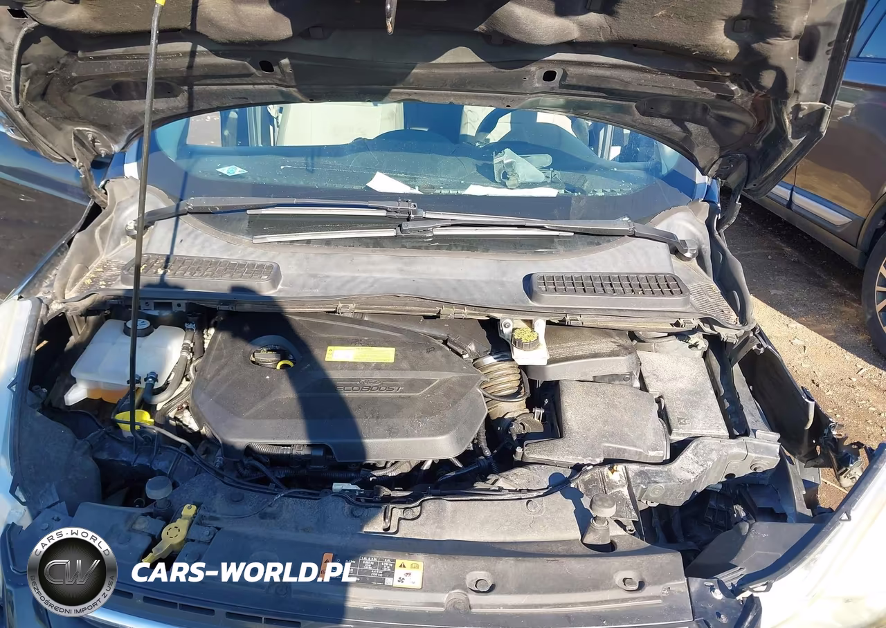 2014 Ford Escape Se VIN:1FMCU0GX4EUC36070 - 10