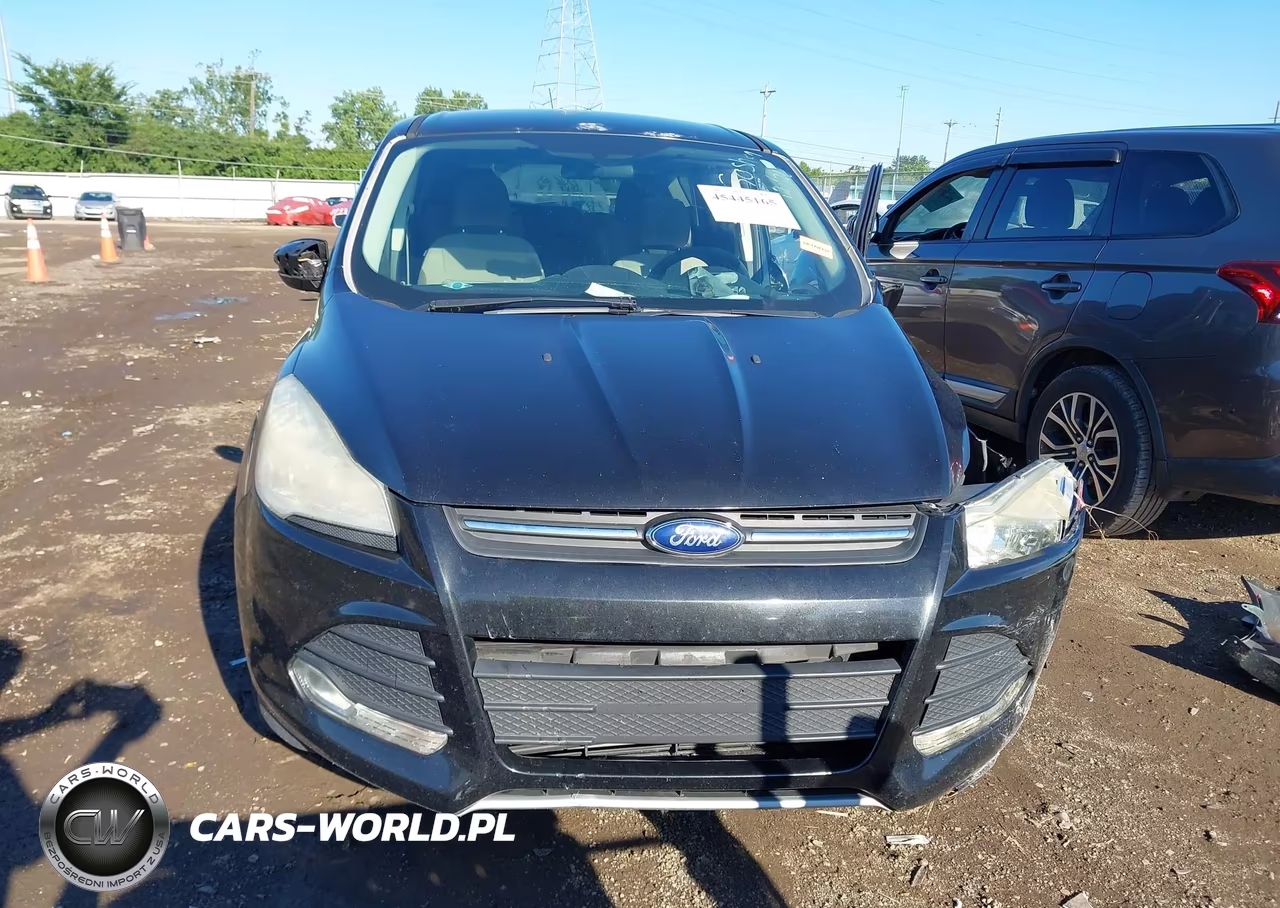 2014 Ford Escape Se VIN:1FMCU0GX4EUC36070 - 12