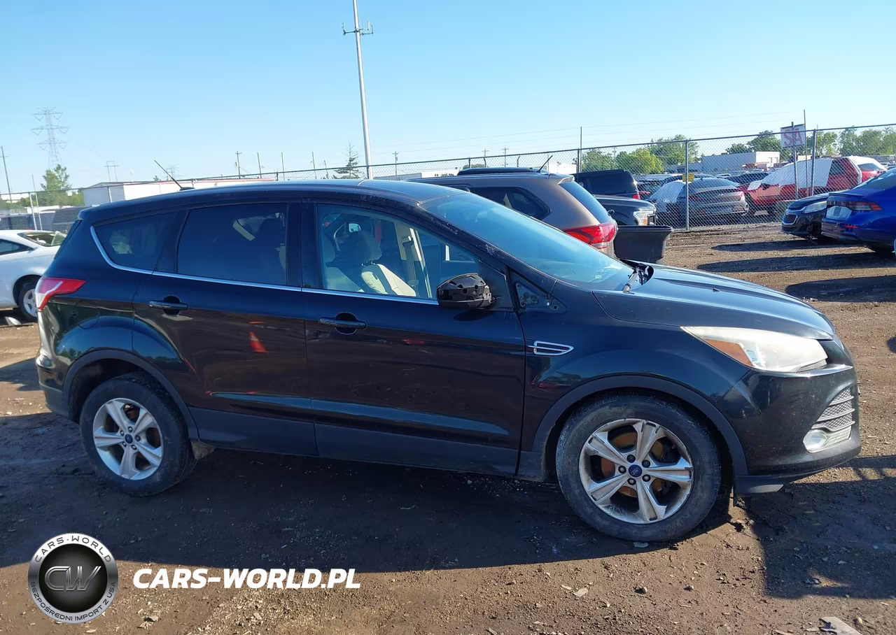 2014 Ford Escape Se VIN:1FMCU0GX4EUC36070 - 13