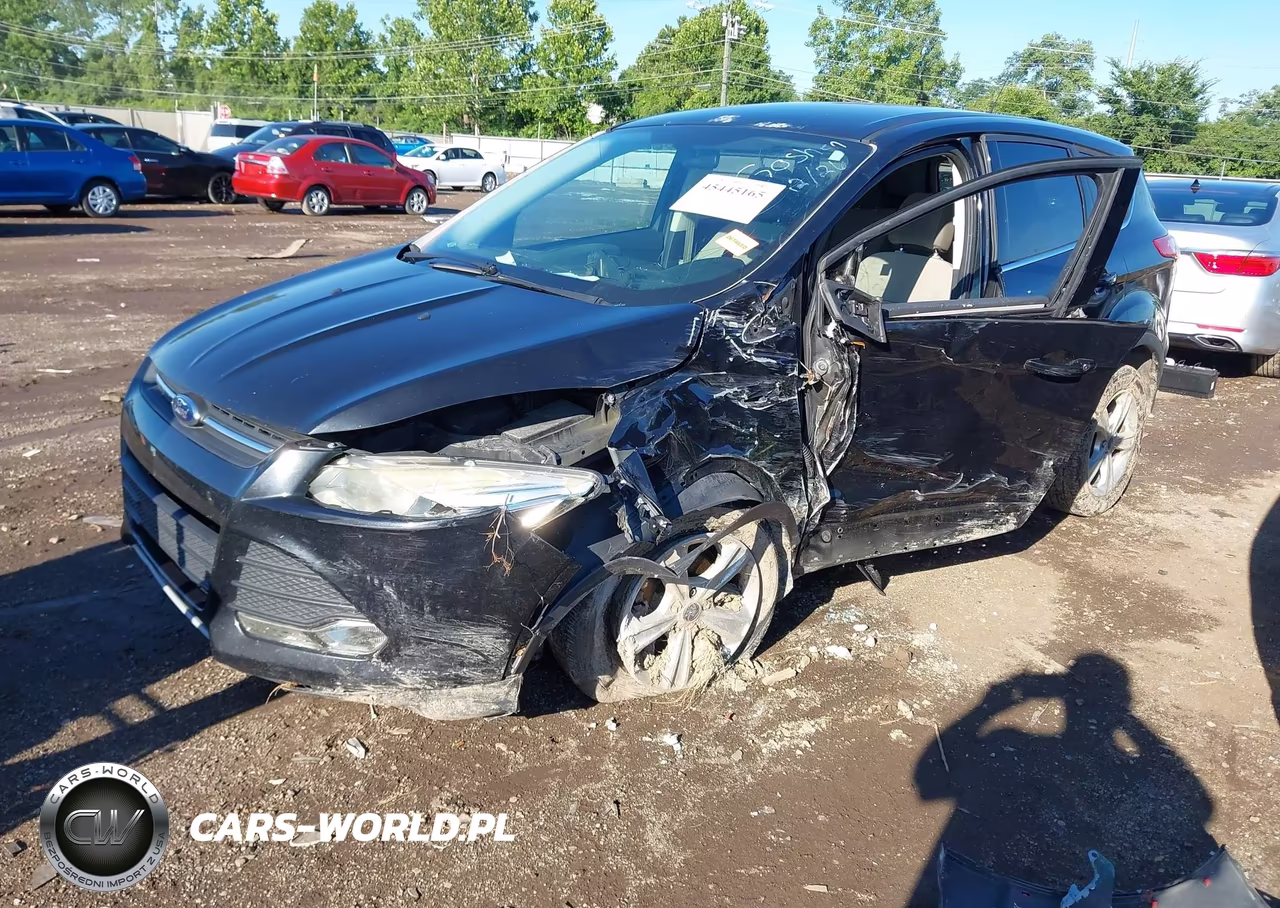 2014 Ford Escape Se VIN:1FMCU0GX4EUC36070 - 2