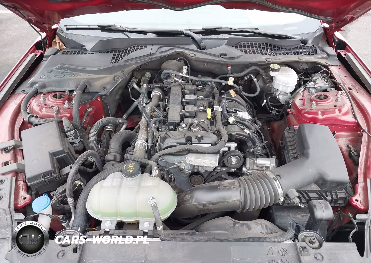 2023 Ford Mustang Ecoboost Premium Fastback VIN:1FA6P8TH6P5106753 - 10
