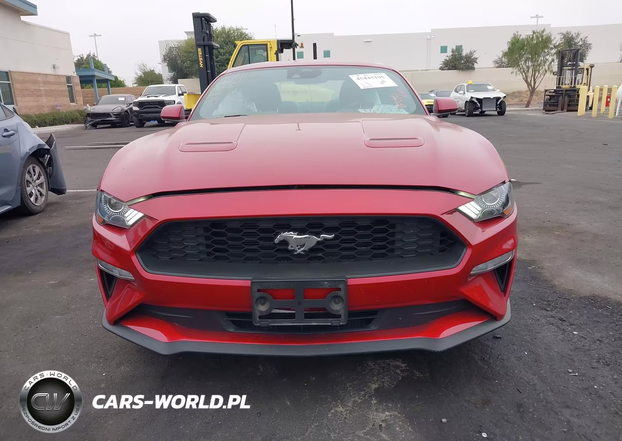 2023 Ford Mustang Ecoboost Premium Fastback VIN:1FA6P8TH6P5106753 - 12