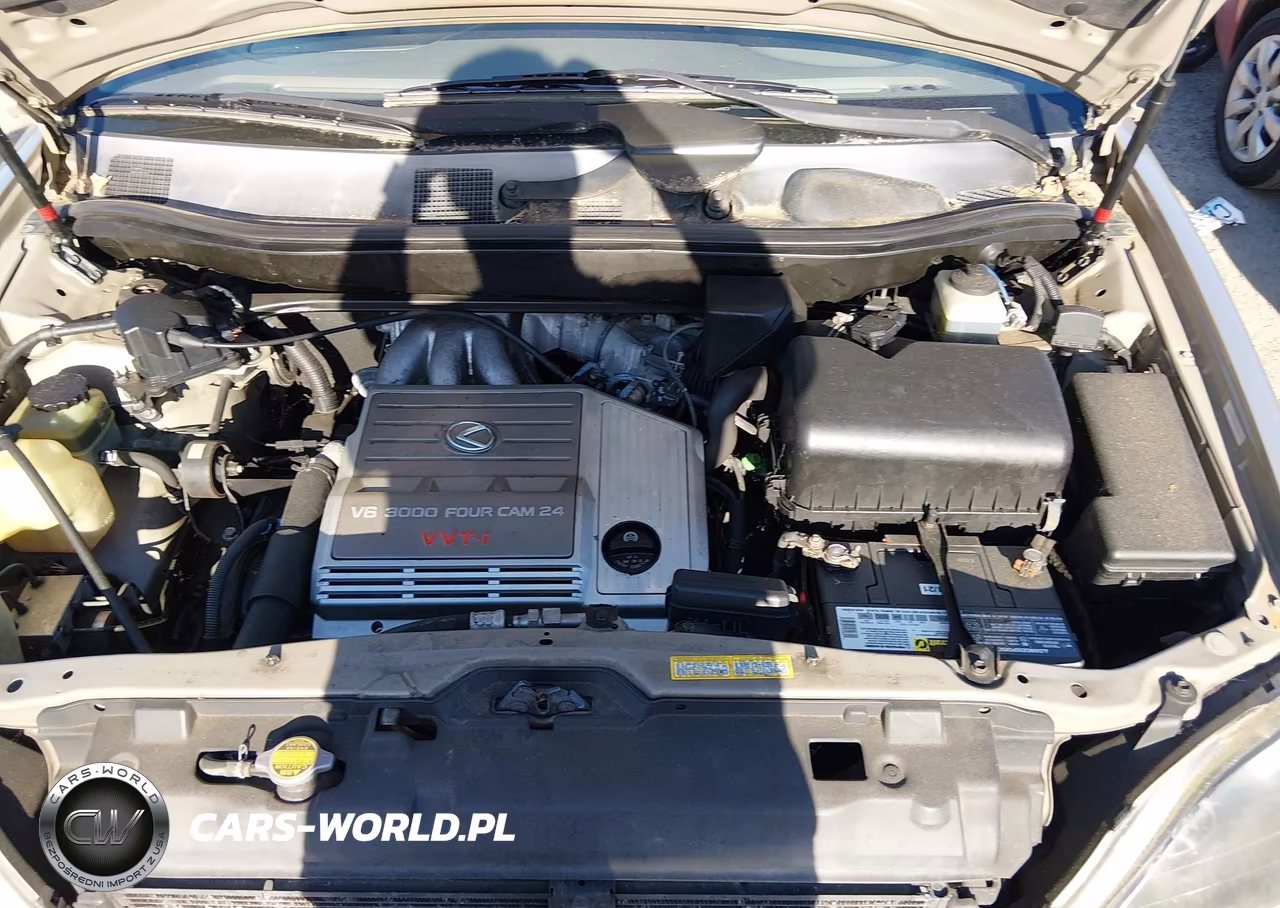 1999 Lexus Rx 300 VIN:JT6HF10U3X0090322 - 10