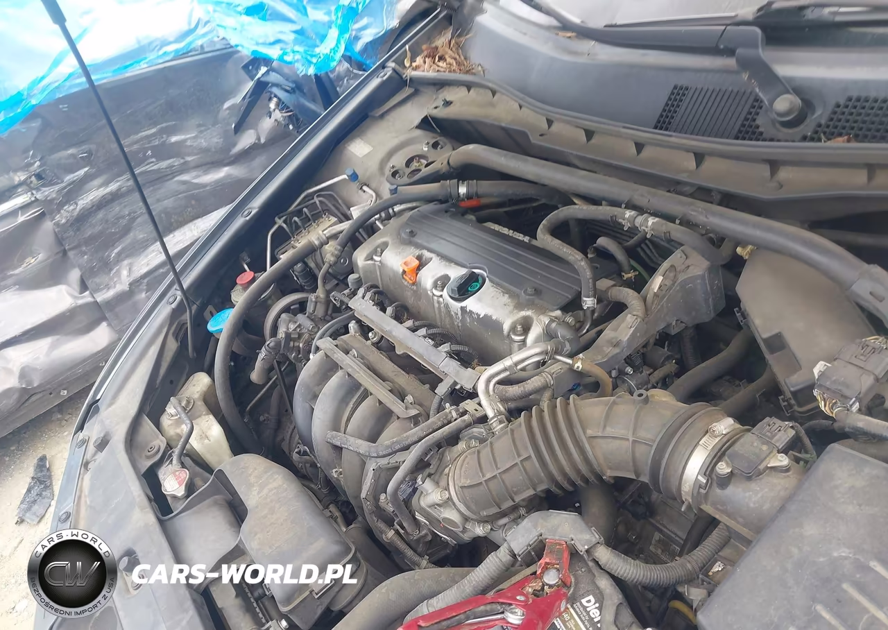 2010 Honda Accord 2.4 Ex VIN:1HGCS1B77AA009959 - 10