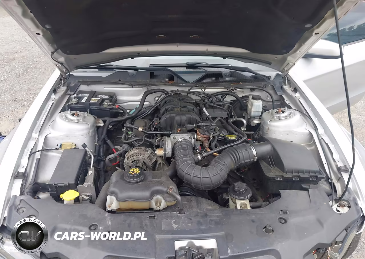 2010 Ford Mustang V6-V6 Premium VIN:1ZVBP8AN5A5165184 - 10