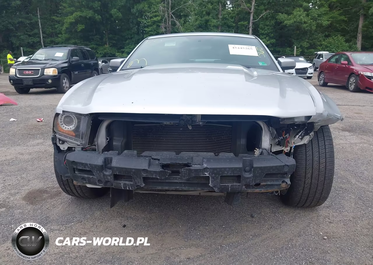 2010 Ford Mustang V6-V6 Premium VIN:1ZVBP8AN5A5165184 - 6