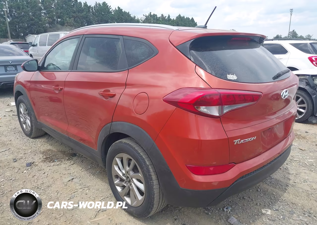 2016 Hyundai Tucson Se VIN:KM8J33A41GU144024 - 3