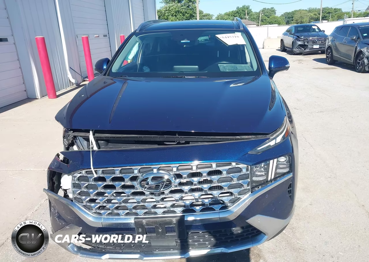 2021 Hyundai Santa Fe Limited VIN:5NMS4DAL8MH335056 - 12