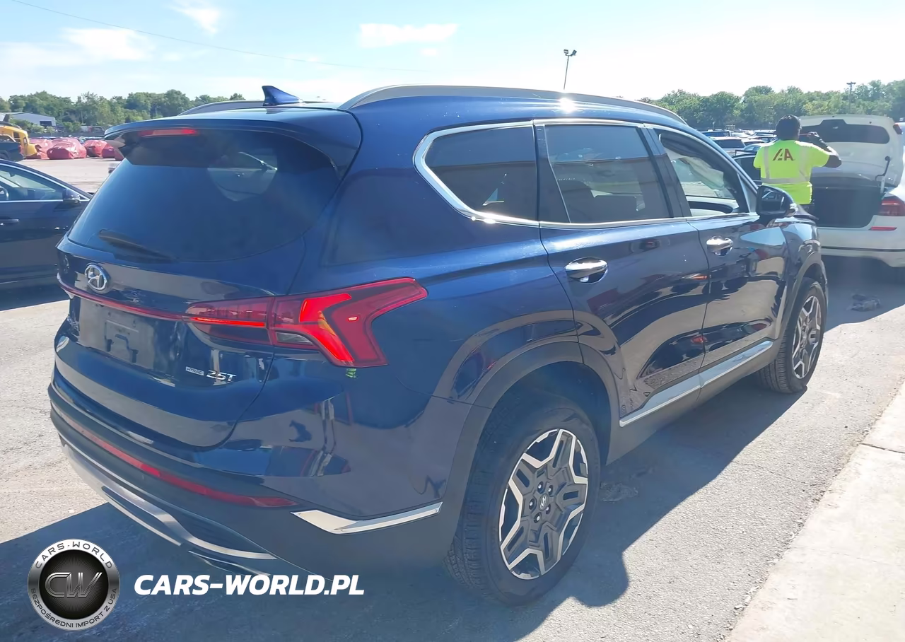 2021 Hyundai Santa Fe Limited VIN:5NMS4DAL8MH335056 - 4