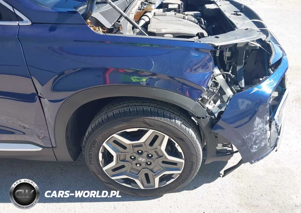 2021 Hyundai Santa Fe Limited VIN:5NMS4DAL8MH335056 - 6
