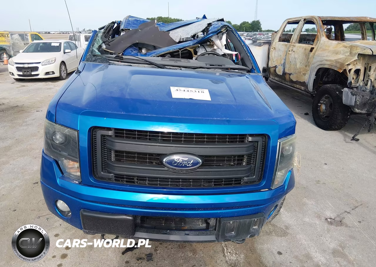 2013 Ford F-150 Fx4 VIN:1FTFX1ET0DFB02528 - 12